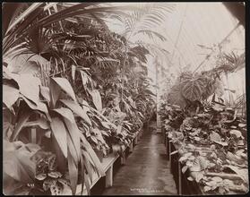 Residence, Miss Helen Gould (Late Jay Gould Residence).