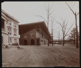 Race Tracks, Belmont Park.