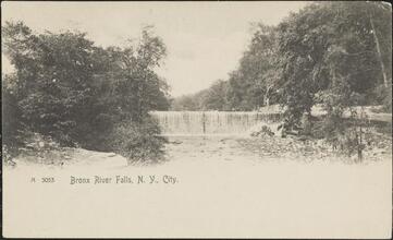 Bronx River Falls, N. Y. City.