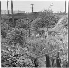 [Gardens.]