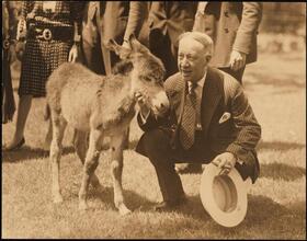 [Al Smith petting a baby donkey.]