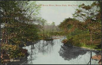 View of Bronx River, Bronx Park, New York.