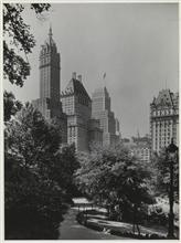 Plaza Buildings from Central Park