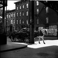 Horse and Wagon on the Corner.