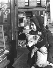 Untitled [Boy with dog, looking in window]