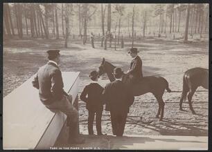 Park in the Pines, Aiken S.C.