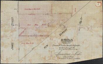 Map of Property Belonging to Francis W. Ford and Mary C. Hoffman