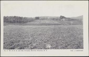 W. D. R. R. and Big Swamp, Browns Station, N. Y.