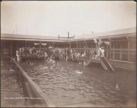 Public Bath No. 10. W.51st St. Hudson River.