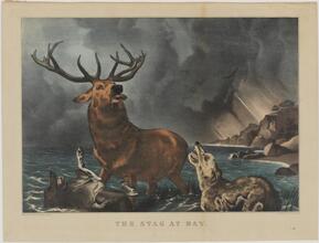 The Stag at Bay.