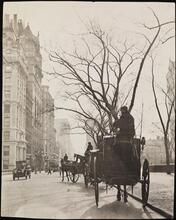 [Hansom cabs on 5th Avenue.]
