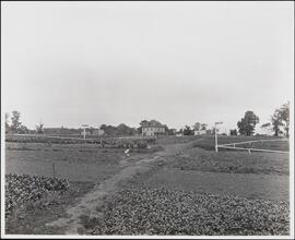 [Randall Avenue and Underhill Avenue.]