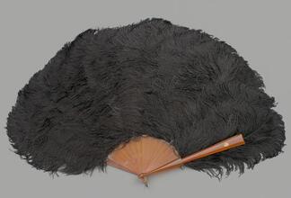 Folding feather fan of black ostrich