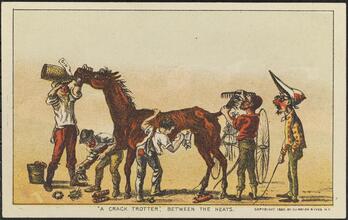 "A Crack Trotter," Between the Heats.