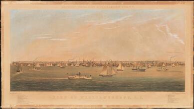 View of Williamsburgh, L.I.