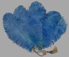 Folding feather fan of blue ostrich