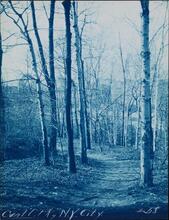 [Central Park.]