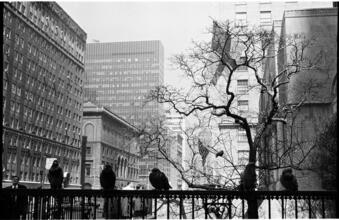 Park Avenue