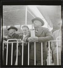 Aqueduct Race Track [Grandstands at the racetrack.]
