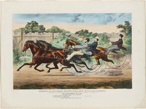 George M. Patchen, Brown Dick and Millers Damsel.