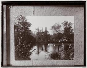 "The swans arch their necks in the limpid stream."
