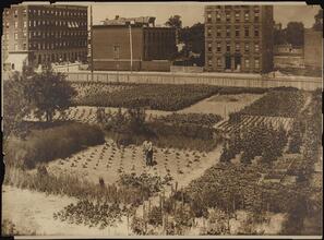 [Amsterdam Avenue and 106th Street.]