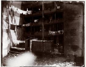 Rear Tenements in Mott Street, in which an Italian shot his wife dead and escaped, 1894.