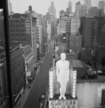 New York in the Summertime