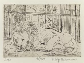 The Lion