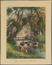 The Brook, Summer.
