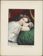 The Flower of the Harem.