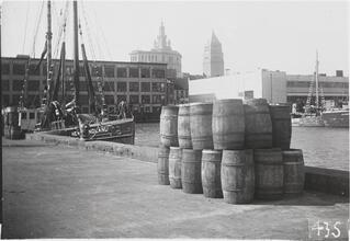 [East River and Fulton Fish Market.]