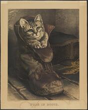 Puss in Boots.