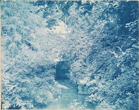 [Bridge in Central Park.]