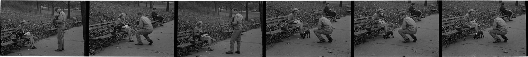 Men Are Such Wolves [Man talking to a woman in the park.]