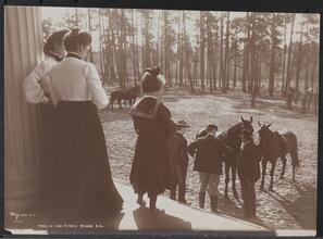 Park in the Pines, Aiken S.C.
