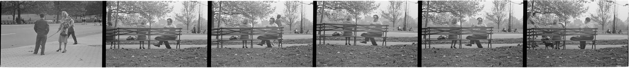Men Are Such Wolves [Man talking to a woman in the park.]