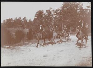Aiken S.C.