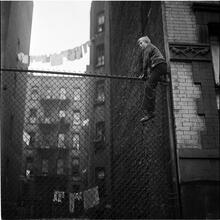 Shoe Shine Boy [Mickey climbing a fence.]