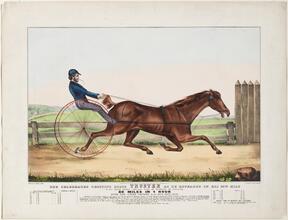 The Celebrated Trotting Horse Trustee As He Appeared In His 20th Mile
