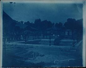 [Central Park Zoo.]