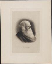 W. C. Bryant