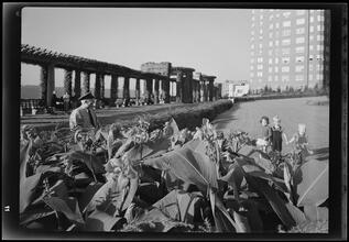 Cabrini Boulevard. Castle Village, view of gardens.