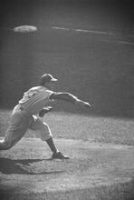 Sal Maglie