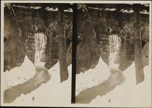 [Central Park.]