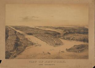 View of New - York and Vicinity.