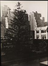 Christmas tree, Radio City.