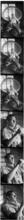 Leonard Bernstein [Leonard Bernstein sitting in an ornate chair.]