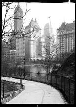 New York City views from Central Park. Park and 59th Street buildings.