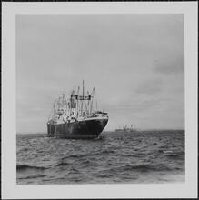 [Steamship.]